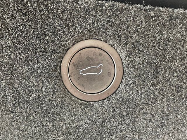 2022 Tesla Model X Plaid AWD - 23014468 - 24