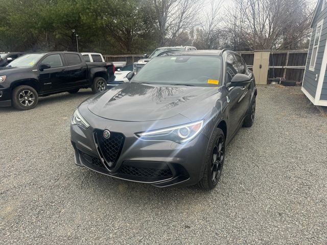 2023 Alfa Romeo Stelvio Quadrifoglio AWD - 22948721 - 2