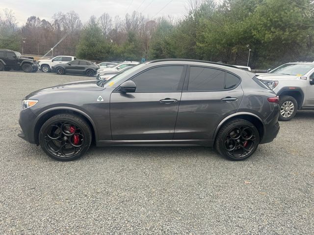 2023 Alfa Romeo Stelvio Quadrifoglio AWD - 22948721 - 3