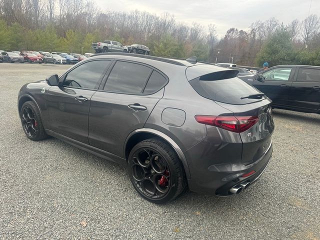 2023 Alfa Romeo Stelvio Quadrifoglio AWD - 22948721 - 4