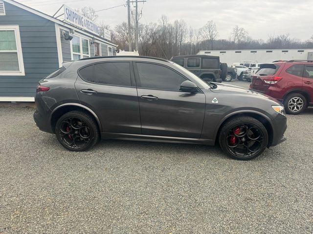 2023 Alfa Romeo Stelvio Quadrifoglio AWD - 22948721 - 7