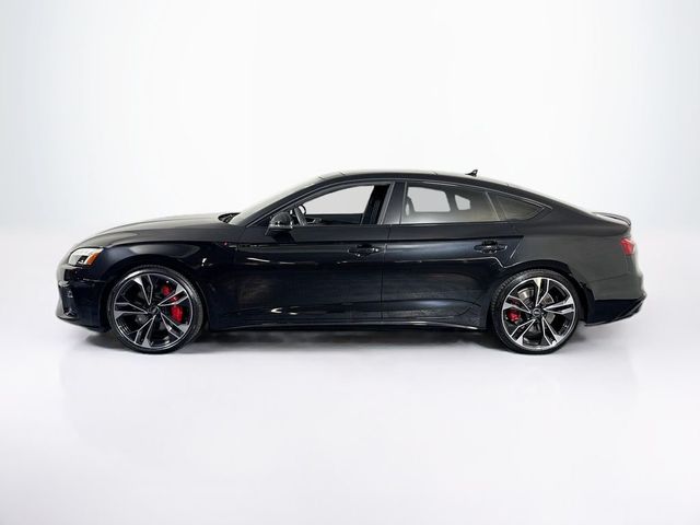 2023 Audi S5 Sportback Premium Plus - 23058786 - 1
