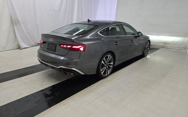 2023 Audi S5 Sportback Premium Plus - 22991397 - 1