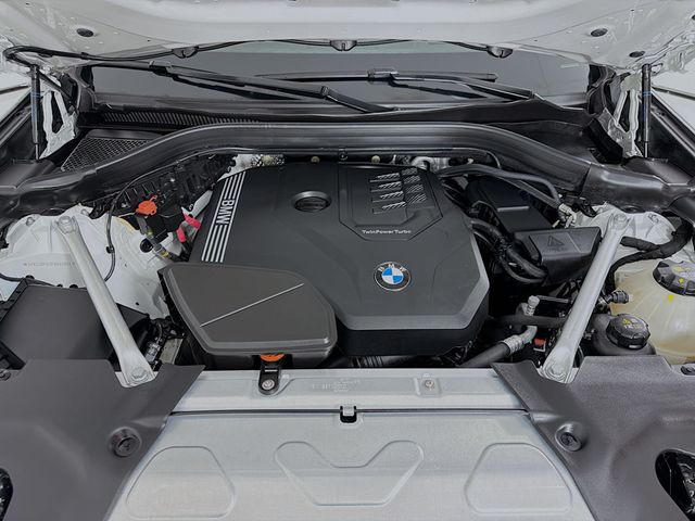2023 BMW X3 xDrive30i Sports Activity Vehicle - 23026403 - 31