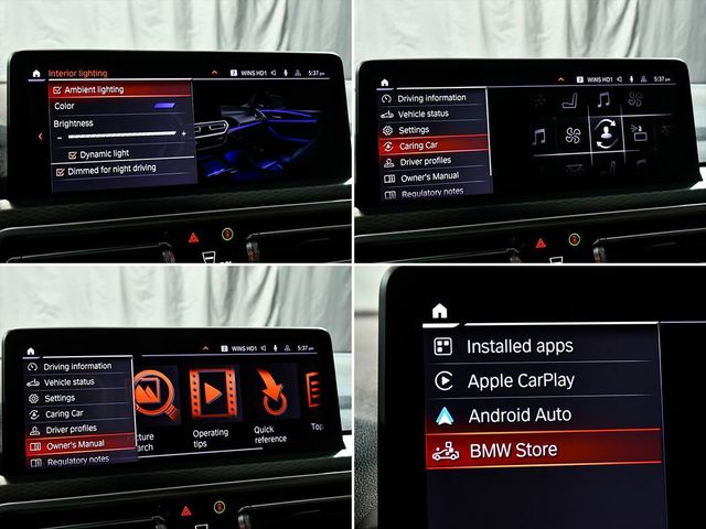 2023 BMW X4 xDrive30i - 23041764 - 31