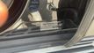 2023 BMW X5 sDrive40i Sports Activity Vehicle - 23058289 - 20