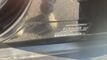 2023 BMW X5 xDrive40i Sports Activity Vehicle - 23048936 - 19