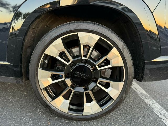 2023 BMW XM Sports Activity Vehicle - 22956725 - 25