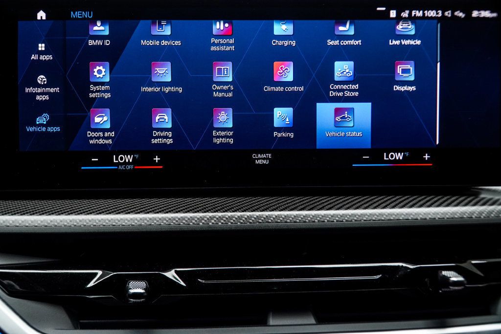 BMW XM photo 31