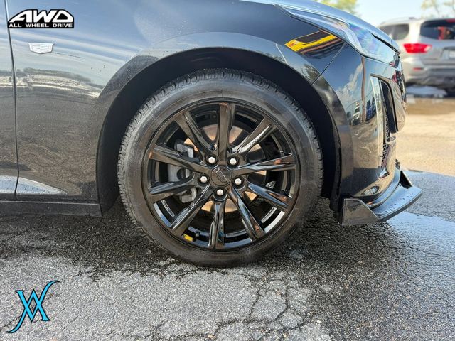 2023 Cadillac CT5 Luxury Sedan 4D - 23071283 - 8