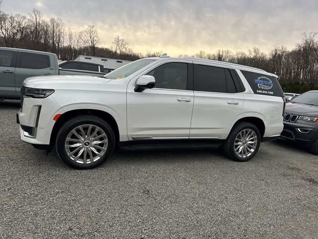 2023 Cadillac Escalade 4WD 4dr Premium Luxury - 22956242 - 3