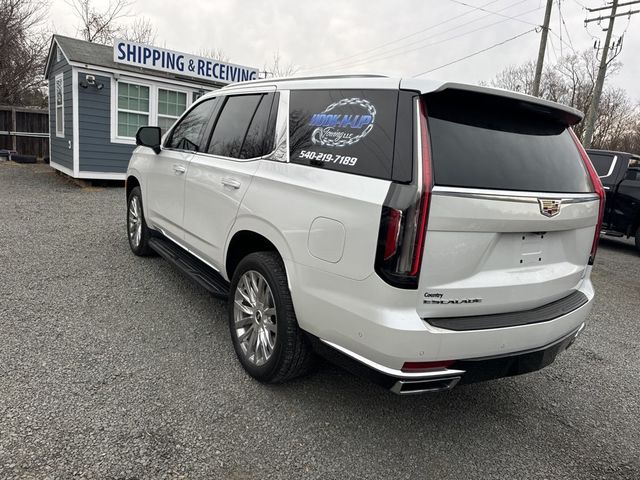 2023 Cadillac Escalade 4WD 4dr Premium Luxury - 22956242 - 4