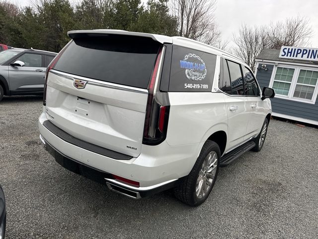 2023 Cadillac Escalade 4WD 4dr Premium Luxury - 22956242 - 6