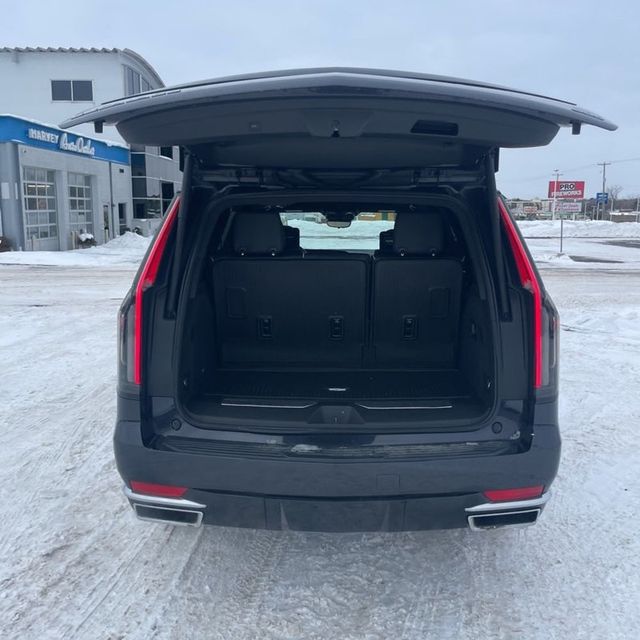 2023 Cadillac Escalade 4WD 4dr Premium Luxury - 22981691 - 10
