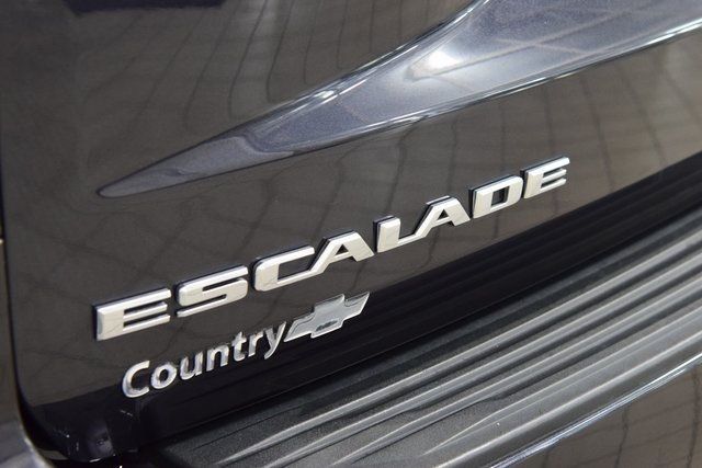 2023 Cadillac Escalade 4WD 4dr Premium Luxury Platinum - 22889687 - 22