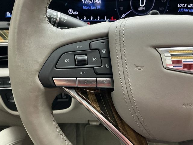 2023 Cadillac Escalade 4WD 4dr Premium Luxury Platinum - 22987968 - 14