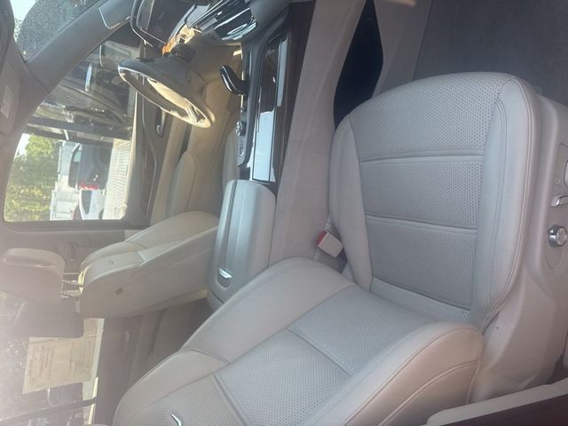 2023 Cadillac Escalade 4WD 4dr Premium Luxury Platinum - 23024950 - 14