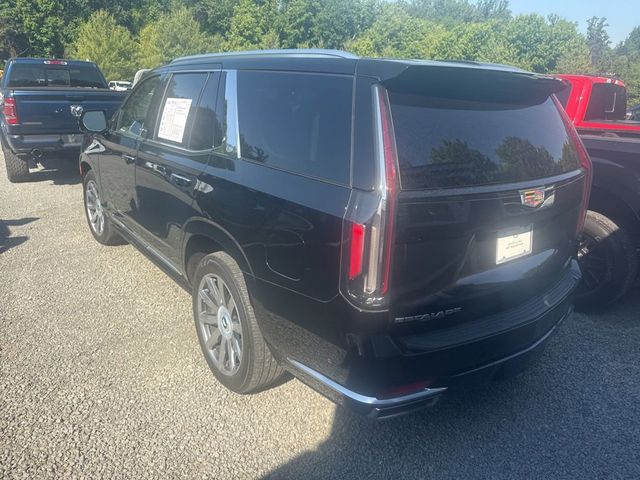 2023 Cadillac Escalade 4WD 4dr Premium Luxury Platinum - 23024950 - 4