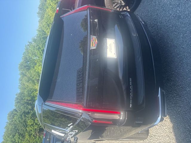 2023 Cadillac Escalade 4WD 4dr Premium Luxury Platinum - 23024950 - 5