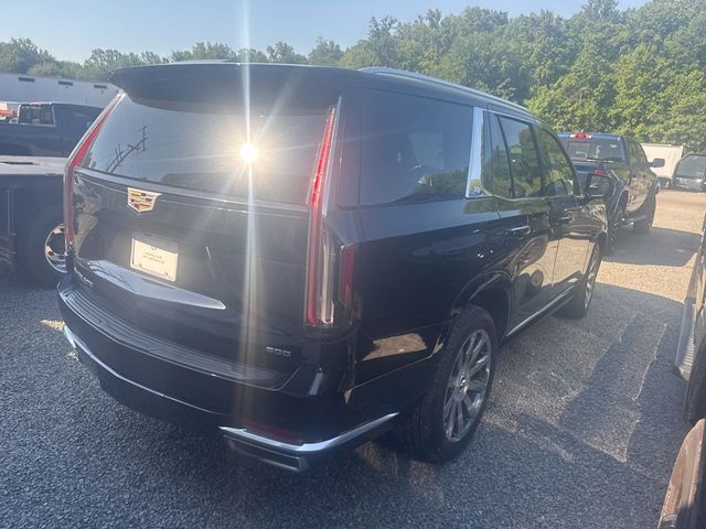 2023 Cadillac Escalade 4WD 4dr Premium Luxury Platinum - 23024950 - 6