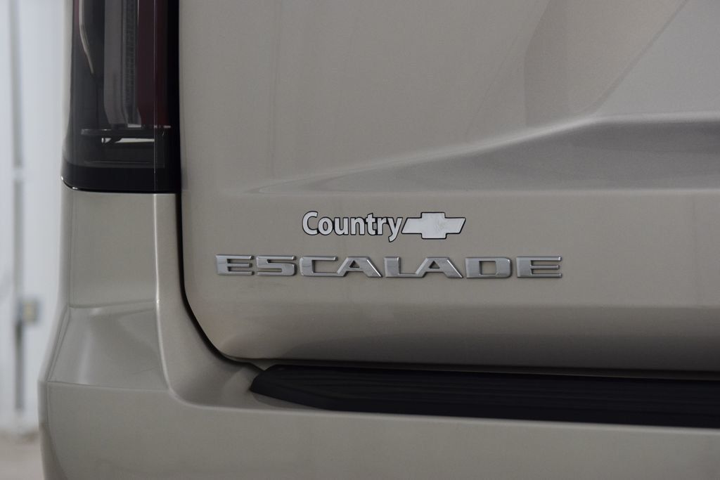 2023 Cadillac Escalade 4WD 4dr Premium Luxury Platinum - 23035248 - 21