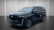 2023 Cadillac Escalade 4WD 4dr Sport - 23043522 - 10