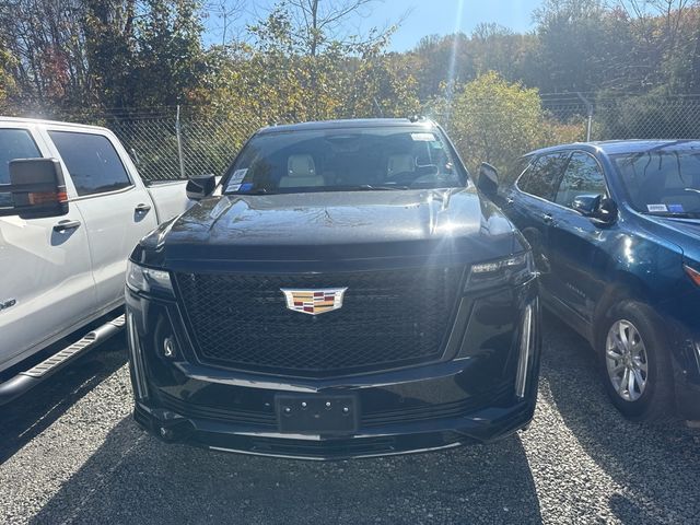 2023 Cadillac Escalade 4WD 4dr Sport - 22931774 - 1