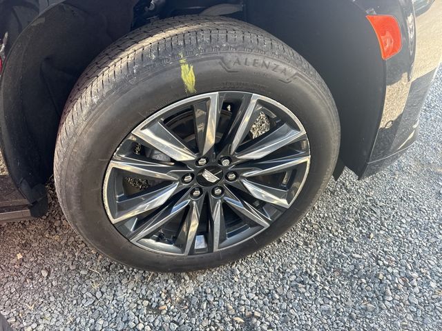 2023 Cadillac Escalade 4WD 4dr Sport - 22931774 - 23
