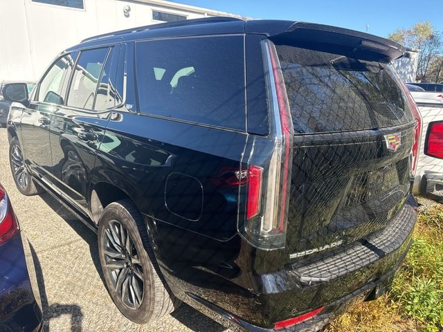 2023 Cadillac Escalade 4WD 4dr Sport - 22931774 - 3