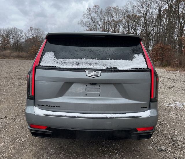 2023 Cadillac Escalade 4WD 4dr Sport - 22953638 - 6