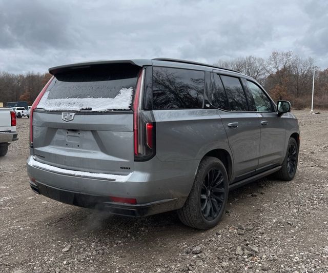 2023 Cadillac Escalade 4WD 4dr Sport - 22953638 - 7