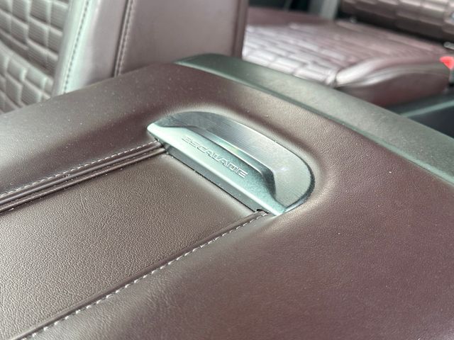 2023 Cadillac Escalade 4WD 4dr Sport Platinum - 23020876 - 35