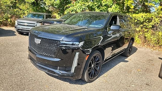 2023 Cadillac Escalade 4WD 4dr Sport Platinum - 22927800 - 1