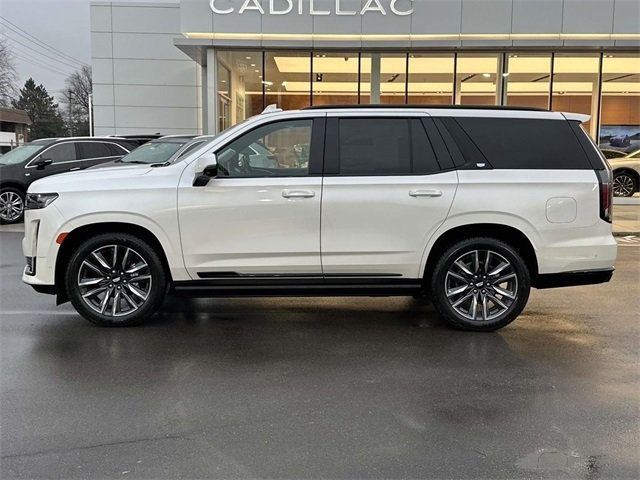 2023 Cadillac Escalade 4WD 4dr Sport Platinum - 22957174 - 3