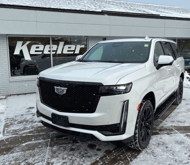 2023 Cadillac Escalade 4WD 4dr Sport Platinum - 22958553 - 3