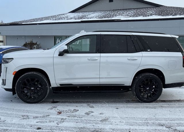 2023 Cadillac Escalade 4WD 4dr Sport Platinum - 22958553 - 4