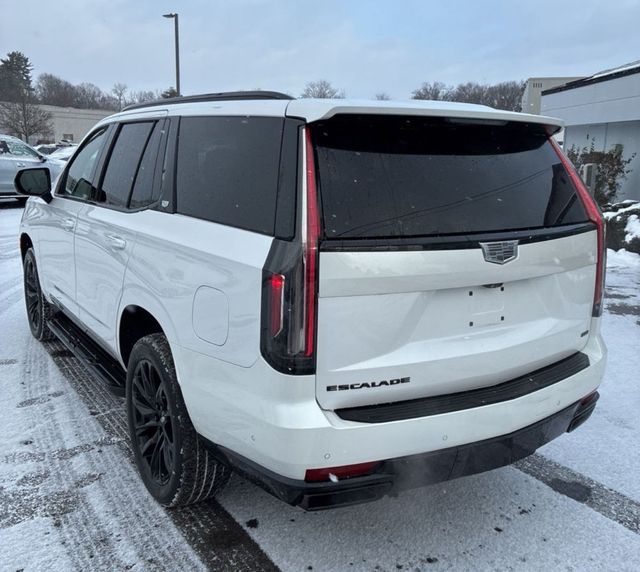 2023 Cadillac Escalade 4WD 4dr Sport Platinum - 22958553 - 5