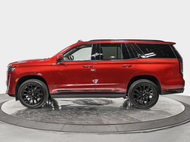 2023 CADILLAC Escalade 4WD Sport - 23077286 - 1