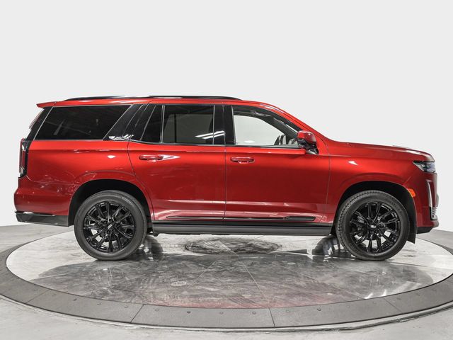 2023 CADILLAC Escalade 4WD Sport - 23077286 - 7