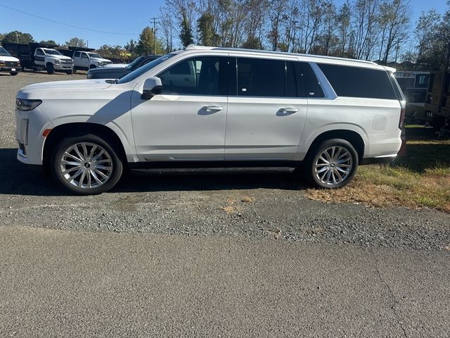 2023 Cadillac Escalade ESV 4WD 4dr Premium Luxury - 22930355 - 3