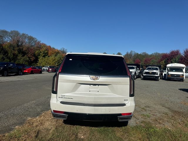 2023 Cadillac Escalade ESV 4WD 4dr Premium Luxury - 22930355 - 5