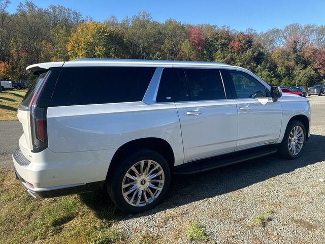 2023 Cadillac Escalade ESV 4WD 4dr Premium Luxury - 22930355 - 6