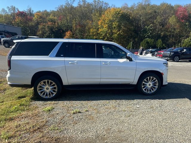 2023 Cadillac Escalade ESV 4WD 4dr Premium Luxury - 22930355 - 7