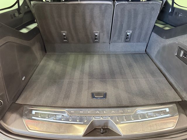 2023 Cadillac Escalade ESV 4WD 4dr Sport Platinum - 23098682 - 67