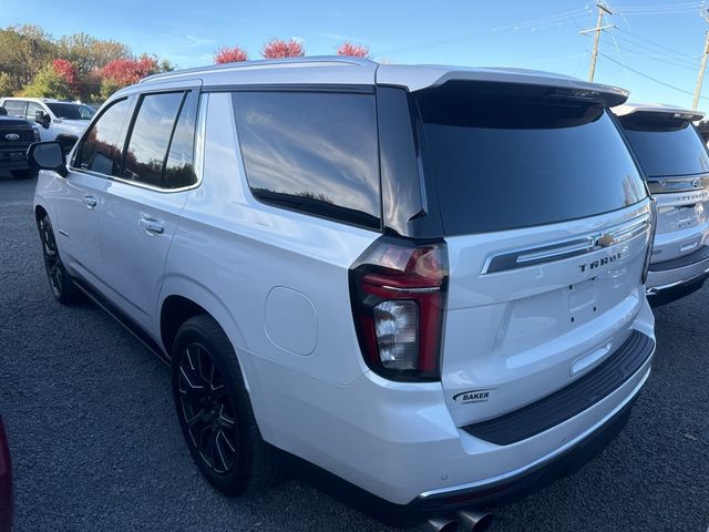 2023 Chevrolet Tahoe 4WD 4dr High Country - 22932418 - 3