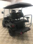 2023 EV Cart  - 22002640 - 5