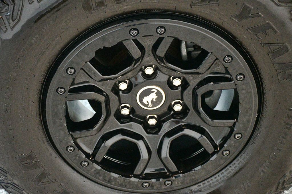 Ford Bronco photo 18