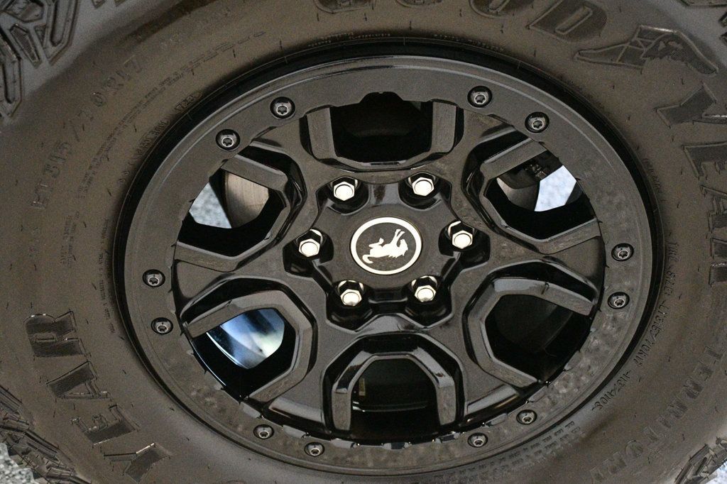 Ford Bronco photo 19