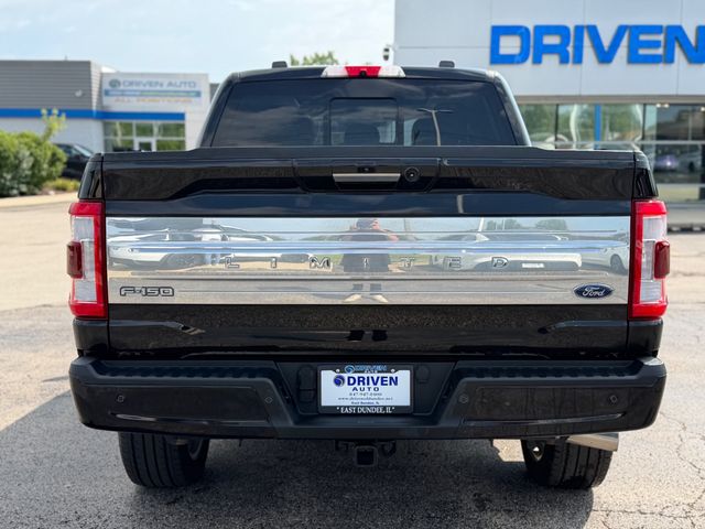 2023 Ford F-150  - 23074399 - 9