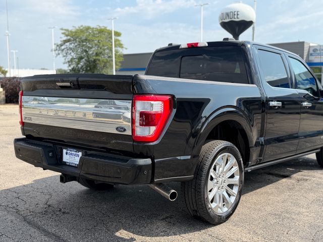 2023 Ford F-150  - 23074399 - 10